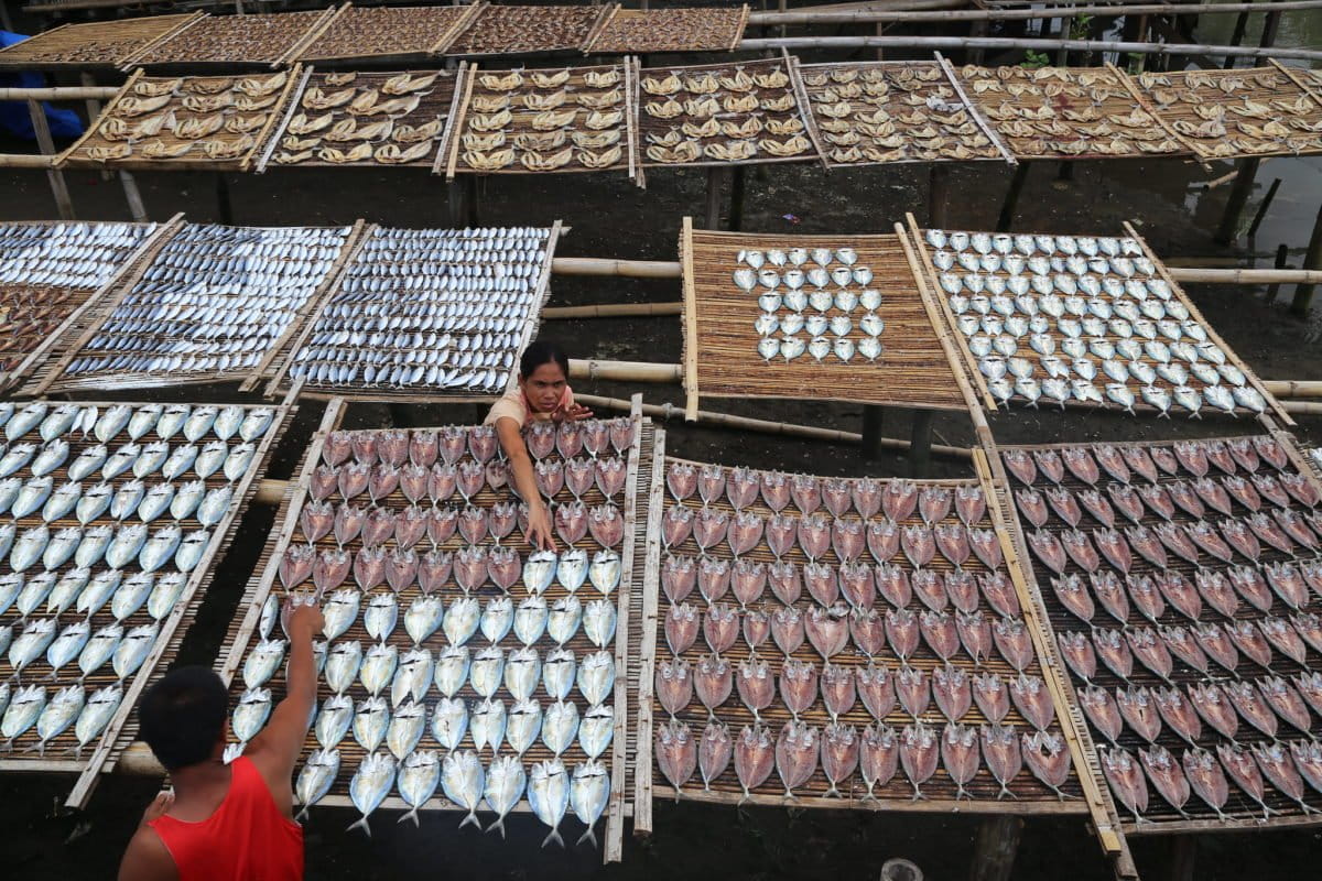 A tale of two seas: Closed season is a mixed bag for Philippine sardines industry